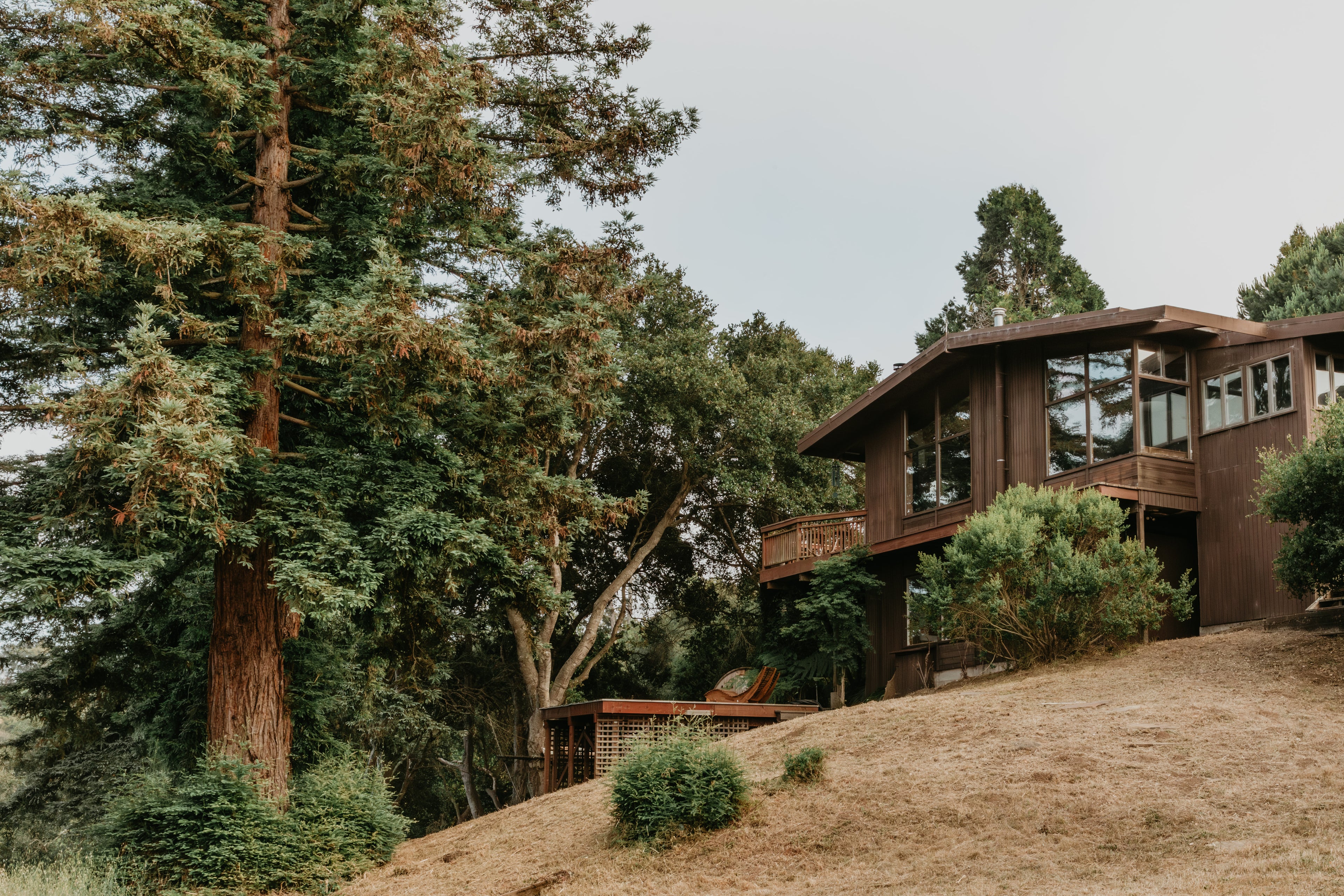Embodying Tara's Compassionate Presence: On-Site Car Camping